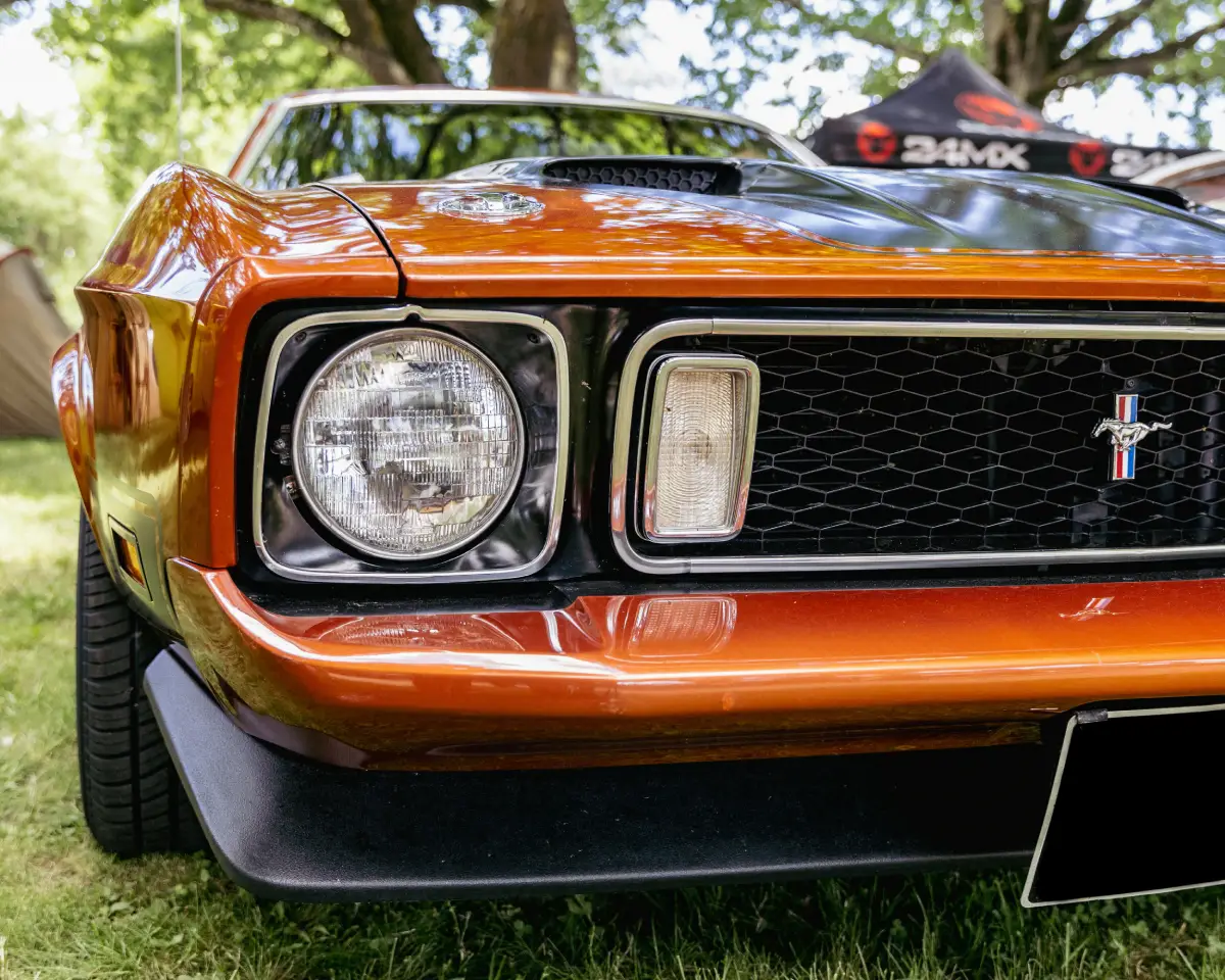 Jersey Shore Muscle Meet